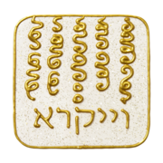D N10