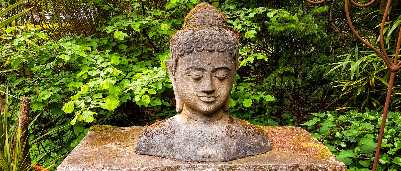 Julia Juergens Meditationsabend